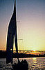 Take a Sunset Sail